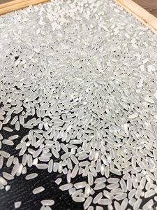 Riz Jasmin à Grain Long Super Camolino Calrose, Texture Dure Aromatique, Riz Vietnamien Séché, Certifié ISO, Nouvelle Récolte 2024, Téléphone - Product Image 4