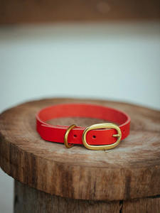 Collar para perro clásico, 15mm, Rojo - Product Image 5