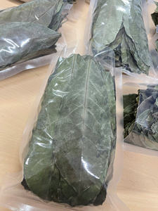 Thé aux feuilles de corossol premium pour infusion - Product Image 6