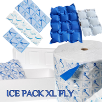 Coussin de protection innovant réutilisable blanc 14-40 cm, gel rafraîchissant pour les bords, pack de glace, 24 heures de refroidissement, amortissement protecteur