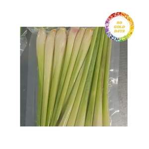 Hierba de Limón Congelada a Granel de Vietnam, Exportadores de Primera Calidad para Compradores Mayoristas que Buscan un Suministro Asequible y Confiable - Product Image 6