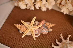 Moda Natural Seashell Hair Stick Estilo moderno Mujeres/Beach Hair Stick de Vietnam - Product Image 4