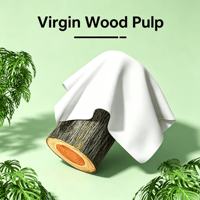 Papier toilette jetable de haute qualité, écologique, doux, biodégradable, respectueux de la peau, à forte absorption d'eau, pour la salle de bain