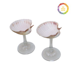 รูปปั้นเปลือกหอยธรรมชาติสำหรับจัดแสดงงานศิลปะการติดตั้งภายในร้านบูติกชายฝั่งและการออกแบบพื้นที่ค้าปลีกริมชายหาด - Product Image 2