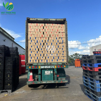 Hoge Kwaliteit Biologische Zacht Gedroogde Bananen Gezonde Snack Fruit Uit Vietnam Oem Bulk Export Landbouwproduct
