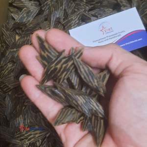 Brûleurs d'encens en bois de Oud tigre vietnamien aromatique - Product Image 2