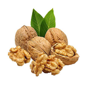 Wholesale High Quality Organic Shelled Walnuts <b>Dried</b> <b>Fruit</b> Walnut Shelled - Product Image 4