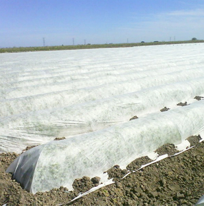 Agriculture Grade Non Woven Fabric Extra Wide Anti Frost Air Permeable for Crop and Plant Protection - Product Image 6