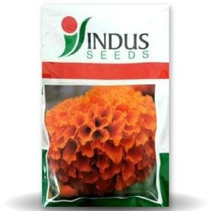 ดอกดาวเรืองสีส้มเข้มแห้ง สำหรับตกแต่งและปรุงอาหาร - Product Image 1