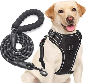 No Pull Dog Harness Adjustable Reflective Oxford Easy Control Medium Large Dog Harness with A Free Heavy Duty 5ft Dog Leash