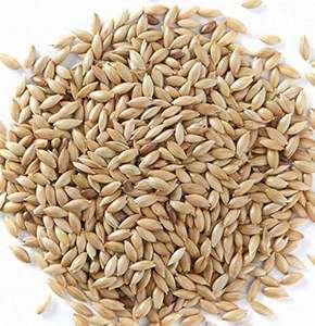 Graines de canari bio de qualité supérieure, très vendues, améliorant la couleur, mélange équilibré pour volière, grain sain pour l'utilisation du bétail - Product Image 5