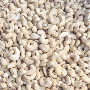 Proveedor Confiable de Vietnam, Nueces de Anacardo Tostadas Enteras W180 W240 W320, Proveedores de Santiago, Vietnam, Exportadas a Asia, UE, Medio Oriente - Product Image 1