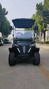 Vente flash : Voitures de golf d'occasion à essence homologuées EPA, 4 ou 6 places, à vendre, à propulsion à essence - Product Image 6