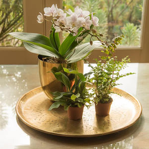 จานทองเหลืองแท้งานแฮนด์เมดแผ่นกลมลายนูนออกแบบให้เป็นของสะสมลายดาว - Product Image 5