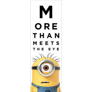 Despicable Me 2 Decoration Vinyl <b>Poster</b> Digital Printed Flags Banners - Product Image 1