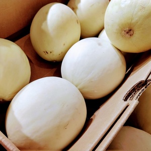 High Quality <b>Fresh</b> Honeydew <b>Melons</b> - Class I Export Grade - Sweet Green Flesh - High Brix 12%+ Honey <b>Melons</b> Wholesale - Product Image 3