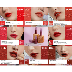 Korean DL14 Max Brown Lipgloss Rouge Marque Double Couche sur Velvet High Pigment Black and Velvet Lipgloss Wholesale - Product Image 2