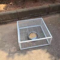 Cage de capture pliable galvanisée pour oiseaux, piège à pigeons sauvages à entrée unidirectionnelle, capture humaine des pigeons et colombes en cage