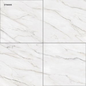 Oferta Especial: Baldosas Modernas de Seranita ST66005 de 60x60cm para Baño y Supermercado, Directamente del Fabricante - Product Image 1