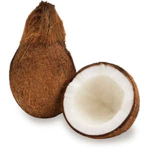 ส่งออกมะพร้าวอ่อนสดออร์แกนิกแบบยังไม่แกะเปลือก เกรดดีที่สุด น้ำหนัก 1 กก. จากฝรั่งเศส - Product Image 1