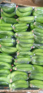 Banane verte biologique certifiée UE, 100% fraîche, naturelle et sucrée, prête à l'exportation - Product Image 3