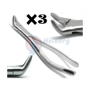 New Dental Extracting Forceps 151s Surgical Tooth Extraction 6" Dental Instruments