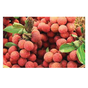 ลิ้นจี่สดแช่แข็งออร์แกนิกส่งตรงจากเวียดนามรสชาติหวานบรรจุจำนวนมาก - Product Image 2