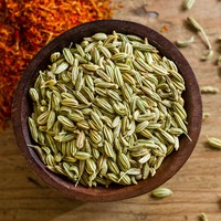 Fenouil aromatique naturel de qualité supérieure pour la cuisine, les tisanes et les recettes traditionnelles, disponible à un prix abordable