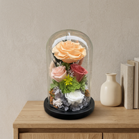 Roses éternelles personnalisées sous cloche en verre, mousse et hortensias préservés, et gypsophile pour la Saint-Valentin, la fête des Mères, les cadeaux d'anniversaire