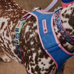 Reebok Sport Style Adjustable Mesh <b>Bib</b> for Dogs Aerobic <b>Training</b> Accessory - Product Image 2