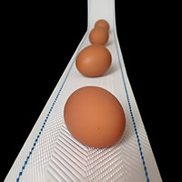 Jaula de capa de pollo automática de alta calidad blanca, sistema de recolección de huevos para granja avícola, cinturón de almacenamiento para entrega de huevos