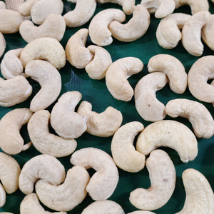 Noix de cajou Kaju Badam Santigo exportées au Moyen-Orient, noyau de noix de cajou UE W320 - Product Image 1