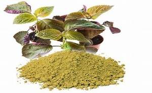 ยาสมุนไพรธรรมชาติผงใบงางาเกรยาสำหรับรักษาผิวไข้หวัดเย็นและสุขภาพโดยรวม - Product Image 3