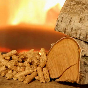 Granulés de bois de pin propres pour les solutions de chauffage biomasse industrielles, mettant en valeur des matériaux forestiers durables et contrôlés - Product Image 4