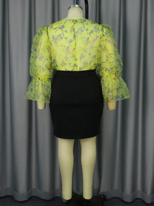 <strong>Plus</strong> <strong>Size</strong> Large Flower Skirt Print <strong>Mesh</strong> See Through <strong>Top</strong> Women 2 Pieces Set - Product Image 5