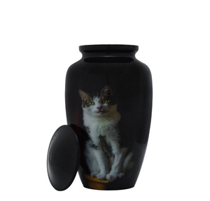 Cat Loss Cremation Urns <b>for</b> Adults <b>Ashes</b> Human Urn Funeral Pet Memorial Urn - Product Image 1