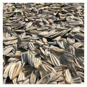 Hueso de sepia natural para suministro de calcio para pájaros y afilado de picos, adecuado para loros, canarios y otras mascotas pequeñas - Product Image 6