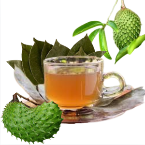 Meilleur prix, approvisionnement premium pour l'exportation de sachets de thé de feuilles de corossol et de poudre de guanabana, emballage en vrac avec prix d'usine flexibles - Product Image 3