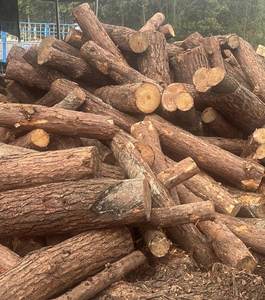 Las mejores pilas de madera para construcción/encofrado/madera estructural, estacas de madera con precio barato y alta calidad - Product Image 4