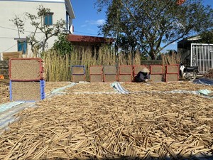 พร้อมส่งจำนวนมาก หลอดไม้ไผ่ธรรมชาติคุณภาพสูง ราคาไม่แพง - Product Image 2