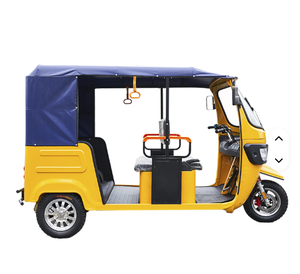 Tricycle électrique à 3 roues, moto 2000W, 12 pouces, vitesse 40 km/h, tricycle électrique fermé pas cher pour adultes, tricycle pour adultes - Product Image 6