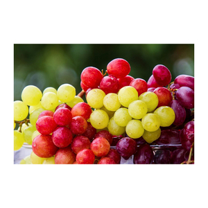 Crimson seedless grapes vibrant red shade long keeping quality sweet and <b>crisp</b> <b>wholesale</b> bulk orders - Product Image 1