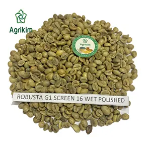 [새로운 거래] 수입 베트남 녹색 커피 콩 ROBUSTA 커피 콩 도매 커피 콩 신뢰할 수있는 공급 업체 + 84363565928