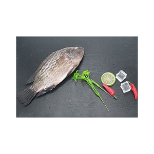 Pescado de tilapia entero congelado de calidad superior, ultracongelado y empaquetado listo para exportación - Product Image 1