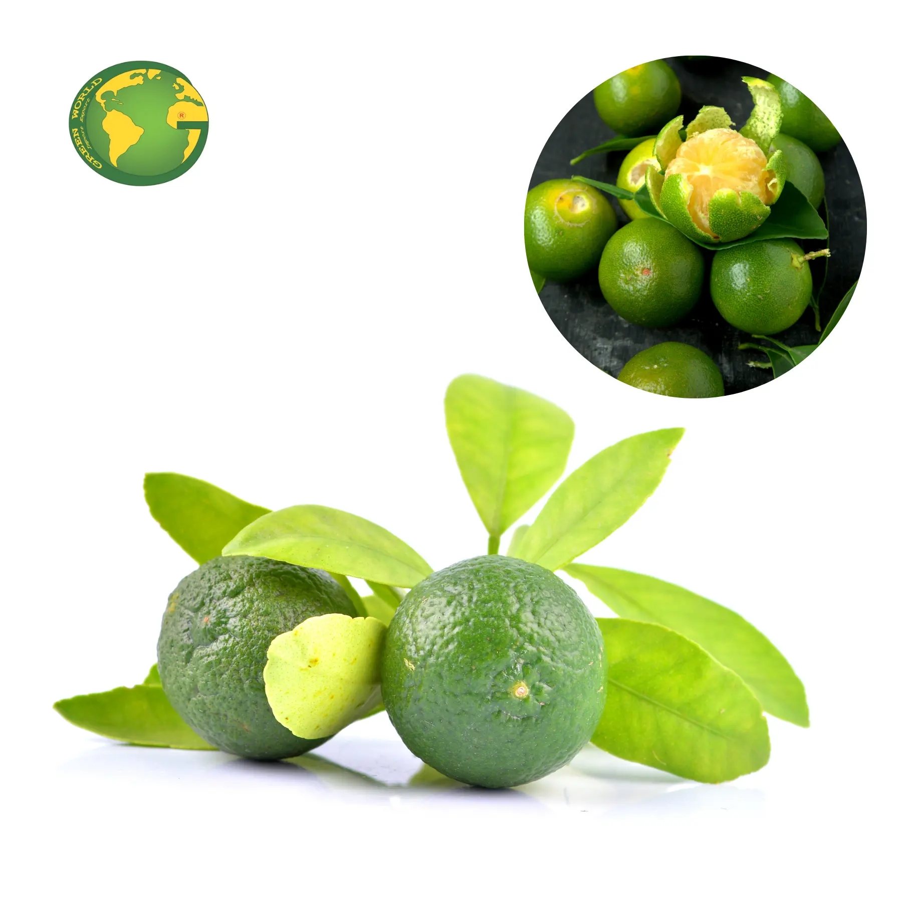 Beste Bevroren Calamansi Hele/Puree/Concentraat-Beste Prijs Calamansi Sap Hoge Kwaliteit Van Viet Nam-Snel levering