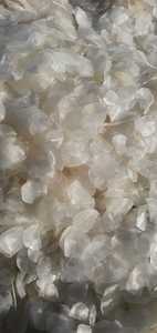 Boîte d'écailles de poisson DECALCIFIED/Barramundi/Seabass/Snakehead/Tilapia séchée de haute qualité/emballage en vrac/sac du Vietnam - ANNA DO - Product Image 3