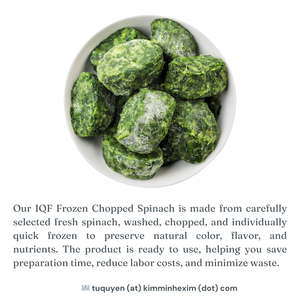 Épinards hachés surgelés IQF en vrac du fabricant vietnamien – Légumes frais surgelés - Product Image 3