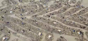 Vải thêu hạt cao cấp 100% polyester của nhà sản xuất Ấn Độ, đính zircon thủ công, chất lượng cao cấp, giá tốt nhất cho xuất khẩu - Product Image 3