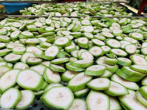 Su proveedor de confianza de polvo de plátano verde vietnamita a granel - Product Image 6