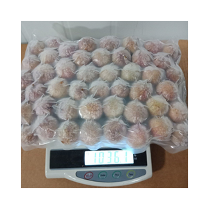 ลิ้นจี่แช่แข็งแบบเวียดนามสำหรับขนมสมูทตี้ของหวาน - Product Image 3